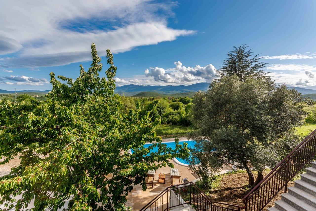 Casa Di Oliva-House With Heated Pool & Jacuzzi In Trilj, Croatia Villa Buitenkant foto