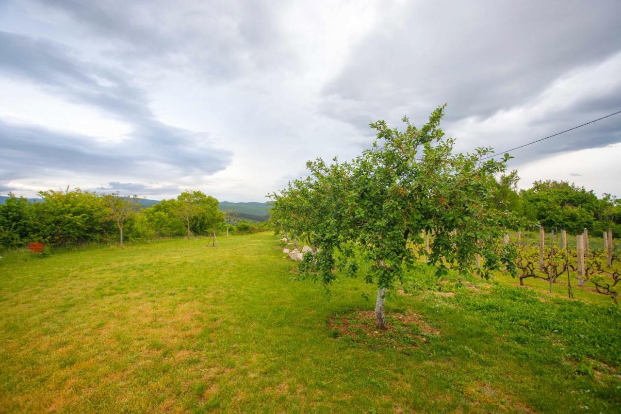 Casa Di Oliva-House With Heated Pool & Jacuzzi In Trilj, Croatia Villa Buitenkant foto