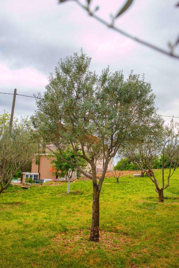 Casa Di Oliva-House With Heated Pool & Jacuzzi In Trilj, Croatia Villa Buitenkant foto