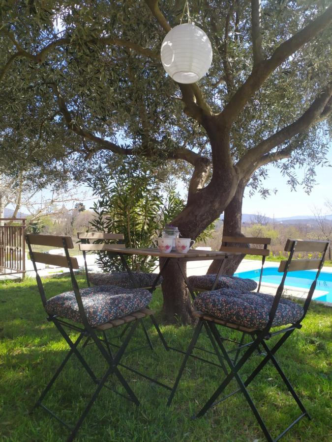 Casa Di Oliva-House With Heated Pool & Jacuzzi In Trilj, Croatia Villa Buitenkant foto